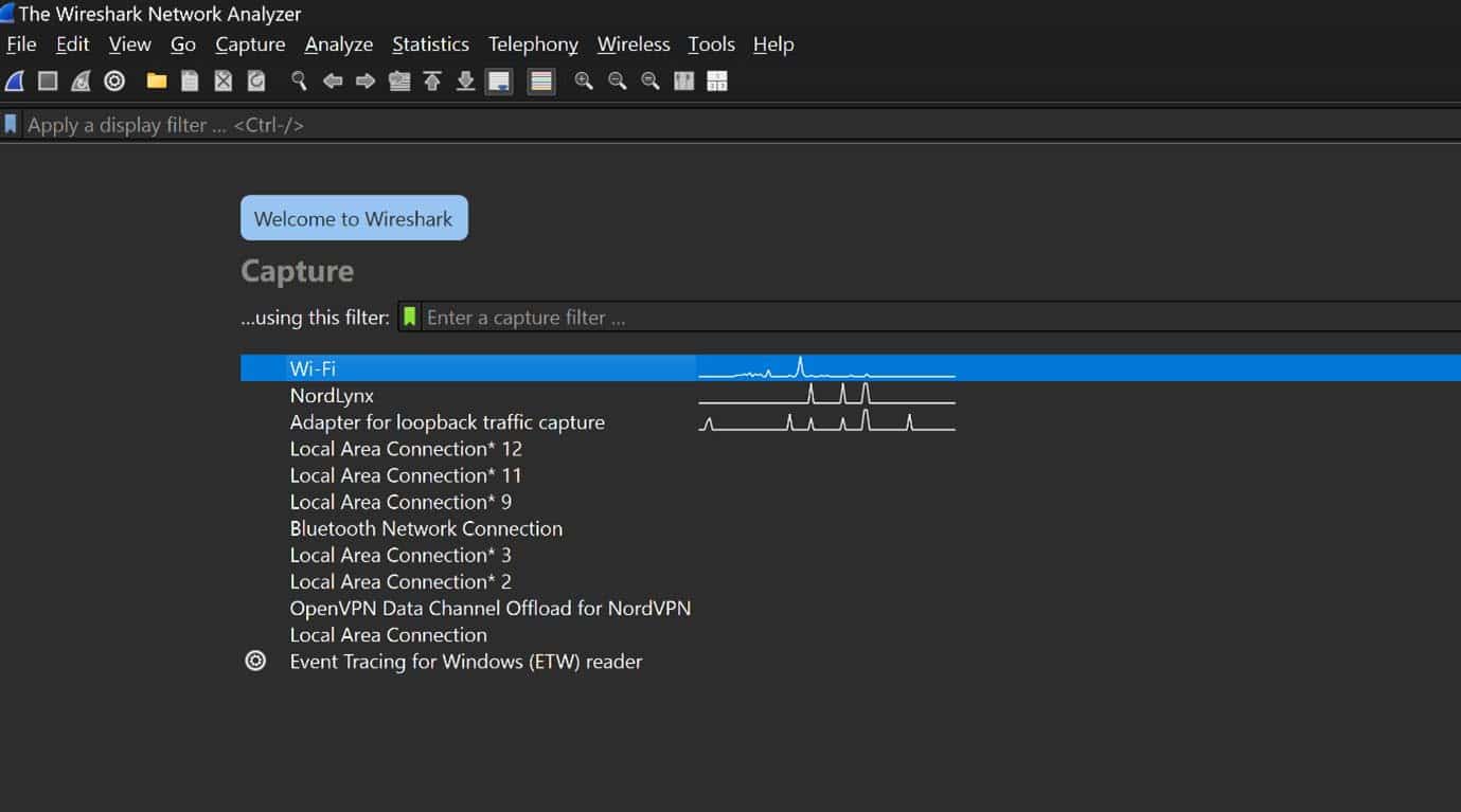 Wireshark Network Analysis Gemini 001